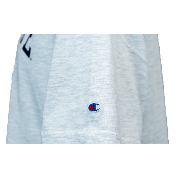 women's vintage wash champion gray utah state cropped t-shirt